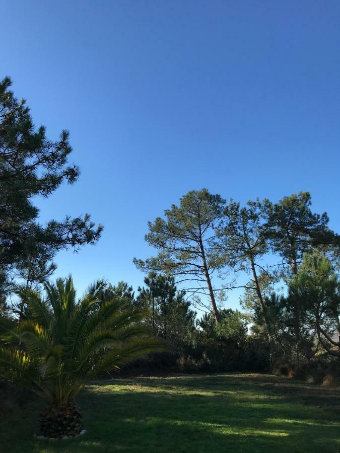 קרוזון Maison Architecte Bois Du Kador A Morgat מראה חיצוני תמונה